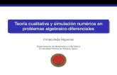 Teor´ıa cualitativa y simulaci on num´ erica en´ problemas …angel/computing/presentaciones/Higueras.pdf · 2006. 11. 13. · Ecuaciones en derivadas parciales algebraicas ...