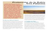 Protección de la Bahía Tres Palacios...5 Para más información Para conocer más sobre la calidad del agua en el área de Tres Palacios, llame al programa TMDL (Total Maximum Daily