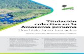 Titulación colectiva en la Amazonía peruana...S. La sal de los cerros, resistencia y utopía en la Amazonía peruana. 4.ª ed. Lima, Perú: Fondo Editorial del Congreso del Perú.
