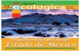 Desajustes ambientales y sociales Estado de México · 2018. 7. 30. · La ciudad de Toluca, capital del estado de México, se en-cuentra en la región hidrológi-ca Lerma-Santiago