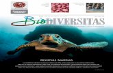 reservas Marinas - Cabo Pulmo Vivocabopulmovivo.org/portal/wp-content/uploads/2014/04/Biodiversitas… · reservas marinas es necesario con-tinuar estableciendo regulaciones de pesca