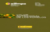 AILIMPO – Asociación Interprofesional de Limón y Pomelo ......variedades de pomelo: Pomelo blanco (Marsh Seedless o White Marsh). El fruto es de tamaño medio, aproximadamen-te
