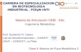 CARRERA DE ESPECIALIZACION EN BIOTECNOLOGIA …biotecnologiaindustrial.fcen.uba.ar/.../2011/...Bal-2-Ing-Me-UBAt-13.pdf · Clase 4: Balance de Flujos Metabólicos 2 Prof: Guillermo