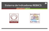 Sistema de indicadores REBICSdgsa.uaeh.edu.mx/REBICS/docs/GUIA_indicadores_REBICS.pdf · 2017. 3. 26. · SISTEMA DE INDICADORES REBICS. Indicador: Servicios Guía para la captura