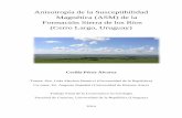 Anisotropía de la Susceptibilidad Magnética (ASM) de la … · 2014. 11. 24. · Anisotropía de la susceptibilidad magnética de la Formación Sierra de los Ríos (Cerro Largo,
