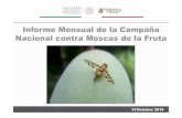 Informe Mensual de la Campaña Nacional contra Moscas de la … · 2019. 4. 18. · situaciÓn de la campaÑa contra moscas de la fruta en aguascalientes recursos 2015 gobierno federal