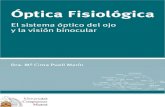 Óptica Fisiológica: el sistema óptico del ojo y la visión ...“ptica_Fisiológica.pdf2- La cÆmara posterior, entre el iris, el cuerpo ciliar y el cristalino, que contiene el
