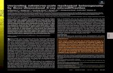 Unraveling submicron-scale mechanical heterogeneity by three-dimensional … · 2017. 11. 29. · Unraveling submicron-scale mechanical heterogeneity by three-dimensional X-ray microdiffraction