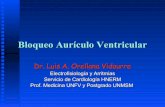 Bloqueo aurículo ventricular - WordPress.com · 2018. 2. 25. · Bloqueo Aurículo Ventricular Objetivos Definir y describir las características diagnósticas, la causa y el significado