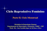 Ciclo Reprodutivo Feminino...0.2 mm 5 a 6 mm 20 mm Primordial Pré-antral Antral inicial Início Ovulação 2 mm Primário Dependência fraca de gonadotrofinas Dependência de gonadotrofinas