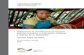 Mecanismos de transferencia de recursos públicos a pueblos y … · 2018. 1. 23. · Mecanismos de transferencia de recursos públicos a pueblos y autoridades indígenas y análisis