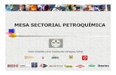 MESA SECTORIAL PETROQUÍMICA - SENA Regional Bolívarbolivar.sena.edu.co/.../mesa_sectorial_petroquimica.pdfLa Mesa Sectorial de Petroquímica, fue creada el 21 de julio del 2005.
