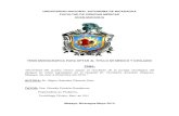 UNIVERSIDAD NACIONAL AUTONOMA DE NICARAGUA …repositorio.unan.edu.ni/5280/1/55905.pdf · 2017. 9. 28. · UNIVERSIDAD NACIONAL AUTONOMA DE NICARAGUA FACULTAD DE CIENCIAS MÉDICAS