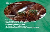 Biodiversidad y cambio climático en Chile: Evidencia científica ......de Chile con un horizonte de tiempo mínimo de quince años. Por otra parte, el país debe contar con un progra