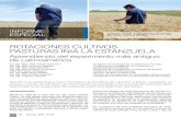 ROTACIONES CULTIVOS PASTURAS INIA LA ESTANZUELA · 2019. 12. 24. · de Latinoamérica Siendo una referencia a nivel mundial en la temática de rotación cultivos - pasturas, el ensayo