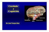 Cerebelo y Cognición - sld.cu · Cerebelo y Cognición. Predicción de Down “Tal como el Cerebelo mantiene • el balance • la integración y • la estabilidad en la esfera