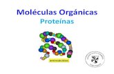 Proteínas...2018/04/04  · Resumen de la clase anterior Lípidos Características-Molécula orgánica.-Formada por C,H, O. Clasificación Saponificable Insaponificable Energética
