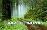 OXAZOLIDINONAS: Linezolid · 2020. 3. 16. · OXAZOLIDINONAS: Linezolid 1. Resultado a la necesidad de nuevos antibacterianos contra bacterias Gram positivas resistentes a los antibióticos
