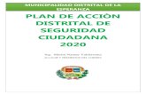 PLAN DE ACCION DE SEGURIDAD CIUDADANA-2020 · 2020. 7. 8. · Plan de Acción de Seguridad Ciudadana 2020 que establece los lineamientos sobre los cuales se desarrollarán acciones