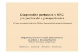 Diagnostika Bordetella pertussis v NRC.ppt [Režim ... · Diagnostika pertussis v NRCDiagnostika pertussis v NRC pre pertussis a parapertussis (Prínos zavedenia real-time PCR do