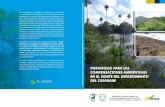 EL MANEJO SOSTENIBLE DEL SUELO, CLAVE PARA …horizonteverde.org.co/wp-content/uploads/2020/02/...El manejo sostenible del suelo, CLAVE PARA ADAPTARNOS AL CAMBIO CLIMÁTICO 8 La Fundación