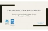 CAMBIO CLIMÁTICO Y BIODIVERSIDAD · 2017. 10. 25. · Estudios de línea de base de la biodiversidad Evaluación de Impacto Ambiental Planificación de la gestión ambiental Implementación,