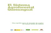 El Sistema Agroforestal Quesungual8 En la región del Sur del departamento de Lempira, el Sistema Agroforestal Quesungual ha contribuido a aumentar la disponibilidad de humedad en