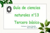 Guía de ciencias naturales n 13 Tercero básicochacao.colegiosannicolas.cl/wp-content/uploads/2020/11/...Tercero básico Fecha: 02 al 13 de noviembre. Objetivo: Conocer proceso de