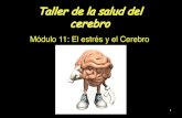 Módulo 11: El estrés y el Cerebrosuam.cucsh.udg.mx/sites/default/files/presentacion... · 2020. 6. 4. · cerebro enciende el “sistema de alarma” del cuerpo. 2.El hipotálamo