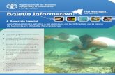 Boletín Informativo FAO Nicaragua: Enero - Marzo 2016 ...pesquero y la salud de las personas involucradas en la pesca. En general, la pesquería de langosta nicaragüense se ha favorecido
