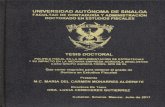 UNIVERSIDAD AUTONOMA DE SINALOA · 2020. 7. 25. · 3 Al Dr. Mario Nieves Soto, Director General de Investigación y Posgrado (DGIP) de la Universidad Autónoma de Sinaloa, por sus