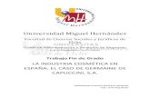 Universidad Miguel Hernándezdspace.umh.es/bitstream/11000/3758/1/RUIZ HERNÁNDEZ... · 2017. 7. 28. · Universidad Miguel Hernández Facultad de Ciencias Sociales y Jurídicas de