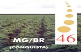 Principal - Agropedia brasilisainfo.cnptia.embrapa.br/.../95548/1/MG-BR-46-Conquista.pdfRECOMENDAÇÕES TÉCNICAS MG/BR-46 (CONQUISTA) é recomendada para plantios em solos de fertilidade