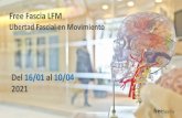 Free Fascia LFM...Conocer las bases teóricas actuales de la anatomía y fisiología del tejido fascial y derivados. • Conocer en profundidad las bases anatómicas y fisiológicas