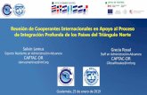 Comisión Económica para América Latina y el Caribe ......- Análisis de Brechas entre el CAUCA y RECAUCA y el AFC de la OMC. - Diagnóstico regional sobre el nivel de madurez de