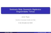 Seminario Baby Geometría Algebraica: Singularidades Tóricasurzua/baby10-08.pdfSeminario Baby Geometr a Algebraica: Singularidades T oricas Javier Reyes Ponti cia Universidad Cat