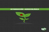 Introducción Agroecológica - Cluster Nicaragua · y estudia los sistemas agrícolas, consideran-do diversos puntos de vista, principalmente el ecológico, el social y el económico.