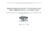 Формирование и развитие биосферного хозяйстваbiosphere-sib.ru/science/Список... · 2017. 5. 1. · УДК 502.211 ББК 20.1 Ф 796