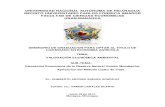 UNIVERSIDAD NACIONAL AUTÓNOMA DE NICARAGUA ...repositorio.unan.edu.ni/12417/1/BRENES, HUMBERTO (2012...UNIVERSIDAD NACIONAL AUTÓNOMA DE NICARAGUA RECINTO UNIVERSITARIO CARLOS FONSECA