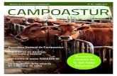 Revista junio 2017 - campoasturcampoastur.es/revista-junio-2017/files/assets/common/downloads/publication.pdf05 | Campoastur Los jardines, los patios, las terrazas: son los lugares