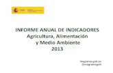 INFORME ANUAL DE INDICADORES Agricultura, Alimentación y Medio … · 2014. 7. 23. · respecto al mismo trimestre de 2012 (%) variación parados sector primario 16,1 29,1 10,0%