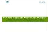 Business Ethics for APEC SMEs - Biopharmaceutical Sector - Los Principios de Ciudad de ...mcprinciples.apec.org/wp-content/uploads/2020/01/APEC... · 2020. 1. 30. · alinea con el