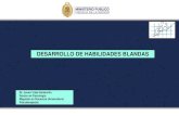 DESARROLLO DE HABILIDADES BLANDAS...Alto desempeño en Habilidades Blandas Investigación realizada por Ana María Becerra Karlos La Serna, para el Centro de Investigaciones de Universidad