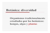 Organismos tradicionalmente estudiados por los botánicos ...dkolterman/biol3435/Caps20-23.pdfBotánica: diversidad (Ap. C) Código internacional de nomenclatura botánica (2006) Hongos