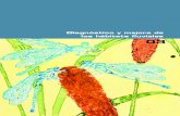 Diagnóstico y mejora de los hábitats fluviales 03 · 2018. 4. 24. · diagnóstico y mejora de los hábitats fluviales 52 • Resistencia. • Dificultad del terreno para ser inspec-cionado.