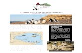 EP flyer español DIGITAL - El Pedral...Los lobos y elefantes marinos La costa que rodea Punta Ninfas es elegida por estos mamíferos marinos. Al igual que a nuestros vecinos IOS pinguinos,