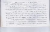 Chattanooga Clarinet Choir - Home · 2020. 2. 5. · Andante, rubato ( = 60 ) 16 Var. 5, P cantabile cadenza ad lib. Allegro moderato accel. e dim. poco apoco Molto vivace ( a tempo