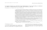 Comparación de métodos de diagnóstico de Verticillium dahliae … · 2006. 9. 6. · Comparación de la eficacia de los méto-dos de diagnóstico Para comparar el método de detección