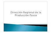 El ámbito de la Dirección Regional de la Producción ... Avances... · HUAYLLAY Yanamachay Cochamarca 40.000 4300 Pistag Pistag 50.000 4520 Huatococha Huatococha 50.000 4490 Taptapa