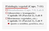Fisiología vegetal (Caps. 7-11)dkolterman/biol3435/Caps10-11.pdf · 2018. 10. 5. · Fisiología vegetal (Caps. 7-11) Metabolismo: Caps. 7-9, Lab 8 Absorción y transporte: Capítulo